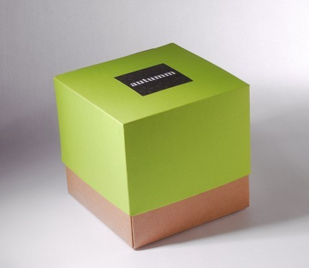 Scatola Regalo Bicolore Verde 