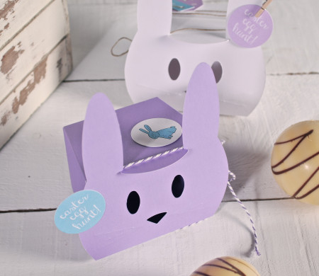Scatola lilla per feste dei bambini