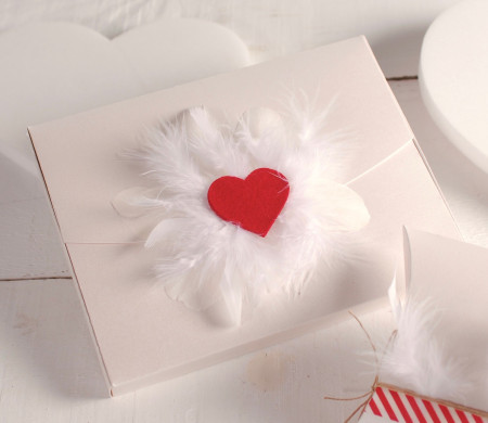Scatola con cuore e piume