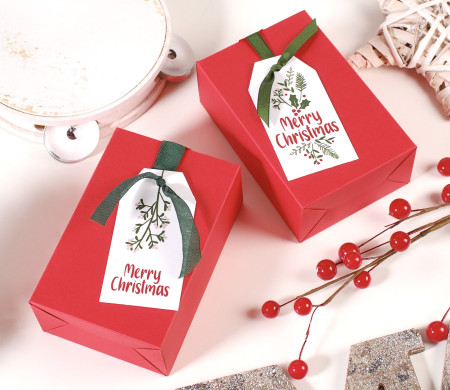 Scatola regalo di Natale con nastro Scatola regalo di Natale con nastro