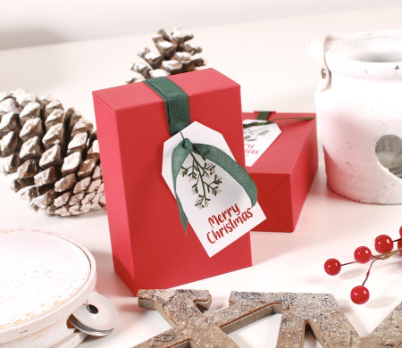 Scatola regalo di Natale con nastro Scatola regalo di Natale con nastro