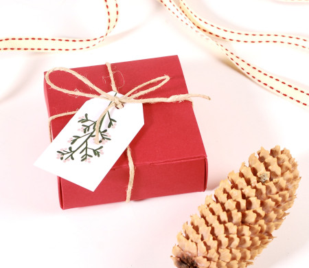 Piccola scatola regalo natalizia quadrata