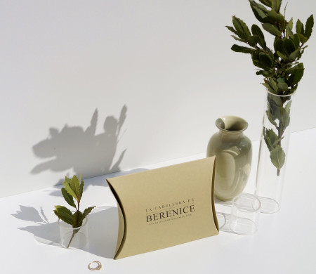 Elegante portagioie
