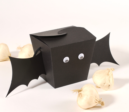 Scatola con pipistrelli da...