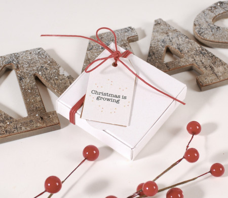 Scatola di Natale bianca economica Scatola di Natale bianca economica