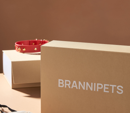 Brannipets scatola foderata stampata e autoassemblata