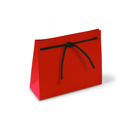 Sacchetto Regalo in Cartone con Cordino Incluso