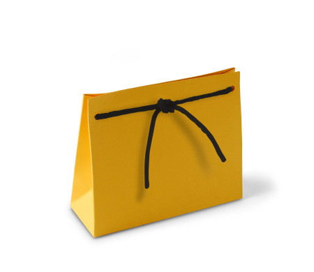 Sacchetto Regalo in Cartone con Cordino Incluso