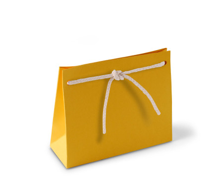 Sacchetto Regalo in Cartone con Cordino Incluso
