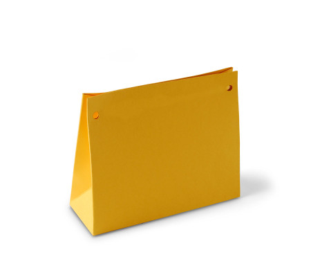 Sacchetto Regalo in Cartone con Cordino Incluso