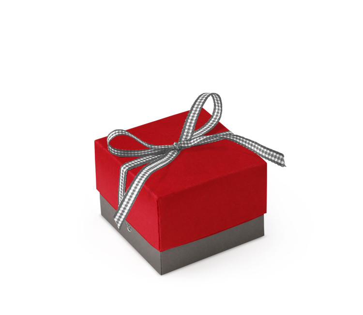 Graziosa Scatola Regalo con Coperchio e Fiocco Decorativo 