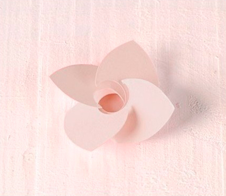10 fiori in cartone