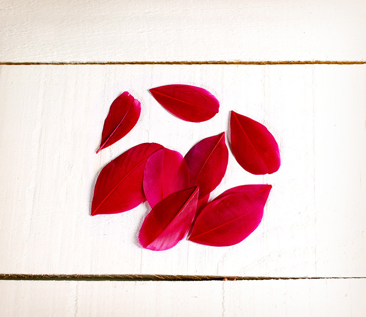 Piume per bricolage