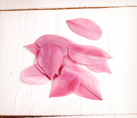 Piume per bricolage