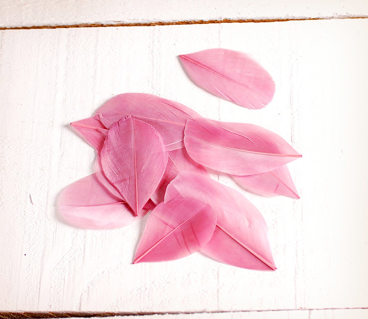 Piume per bricolage