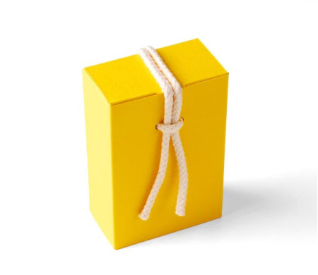 Scatola Regalo in Cartone con Un'Originalissima Chiusura