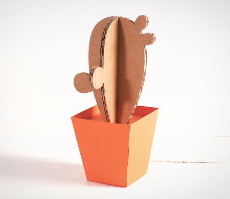 Cactus di Cartone con Vasi Colorati!