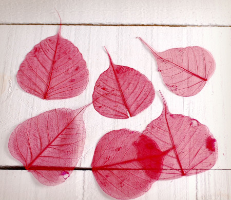 Foglie decorative per scrapbooking