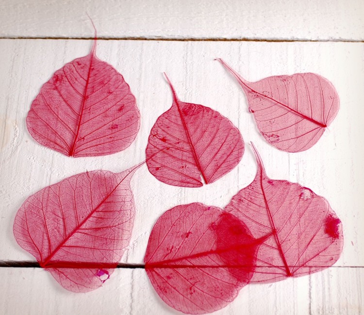 Foglie decorative per scrapbooking