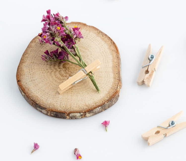 Mini pinze in legno