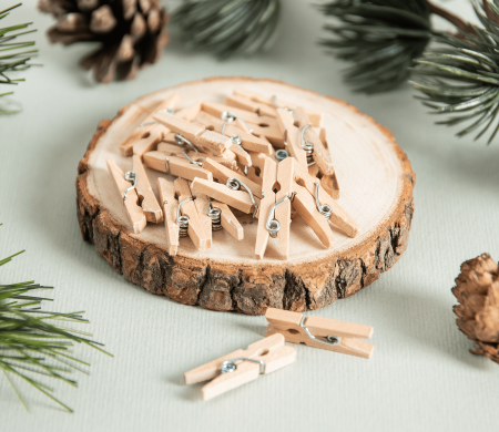 Mini pinze in legno