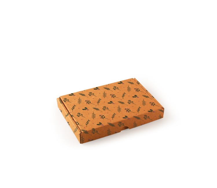 Scatola per invio postale Natale