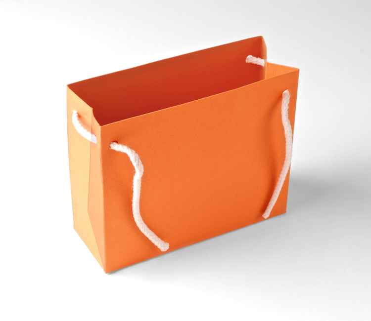 Sacchetto Regalo in Cartone con Cordino Incluso