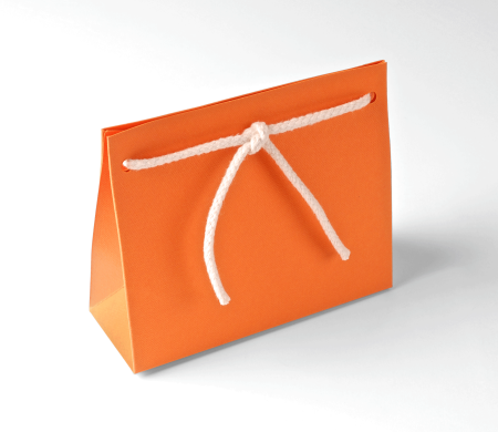 Sacchetto Regalo in Cartone con Cordino Incluso