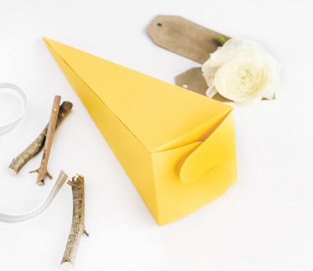 Scatola a Cono per le Feste