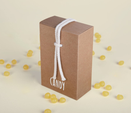 Scatola Regalo in Cartone con Un'Originalissima Chiusura