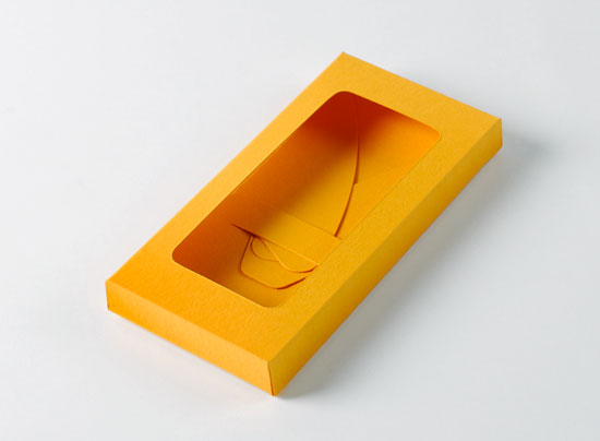 Scatola per la custodia dell’iPhone