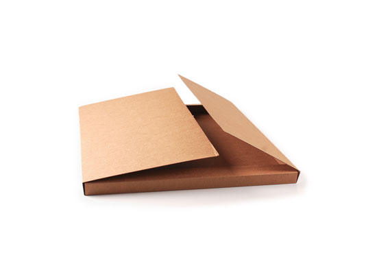 Carpeta in cartone grande per spedizioni